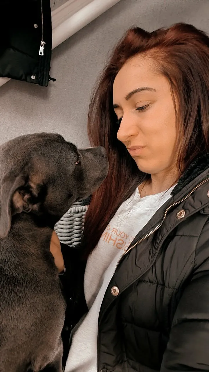 Jade nose to nose with a grey Staffy, both calm and content
